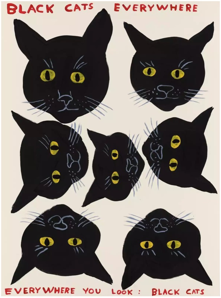Black Cats Everywhere, David Shrigley